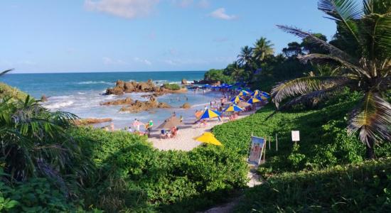 Praia Naturista de Tambaba