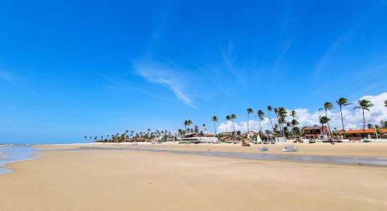 Praia de Guajiru