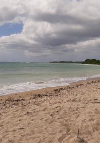 Insel Tobago