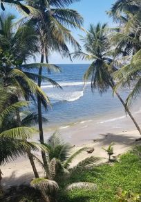 Insel Trinidad