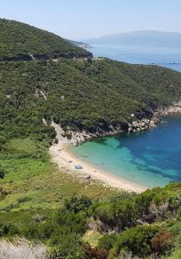Ormanli