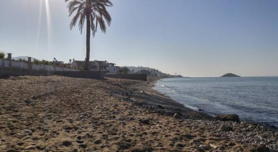 Ansel beach