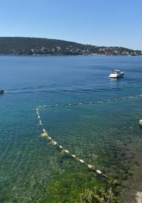 Insel Sedef