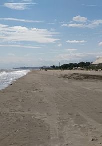 Provinz Samsun