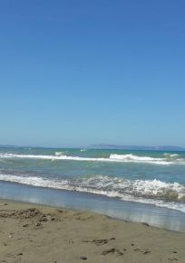 Provinz Sinop