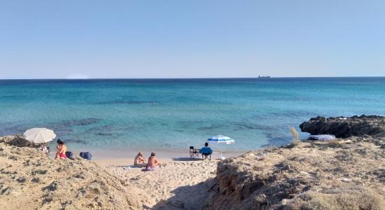 Fedon Bay