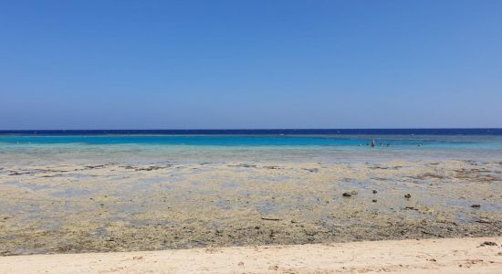 Gorgonia Beach