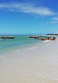 Basihaya