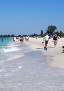 Sarasota County