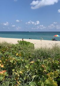 Palm Beach County