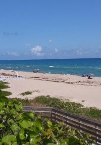 Palm Beach Isles