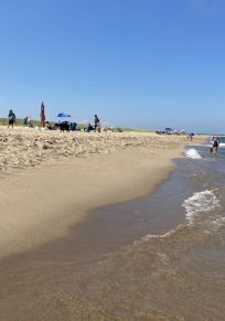 Insel Martha's Vineyard