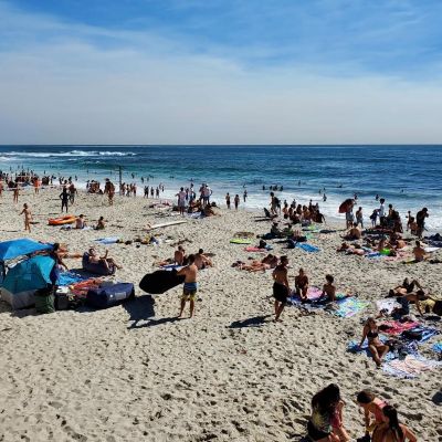 Discover Marine Street Beach La Jolla: A Hidden Gem in San Diego