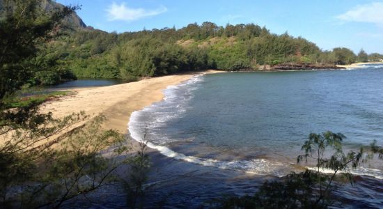 Wainiha Beach