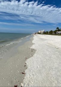 Bonita Beach Club