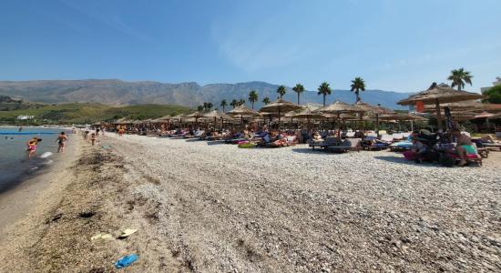 Plazhi Bojo
