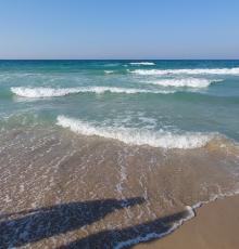 Lido Gadaleta