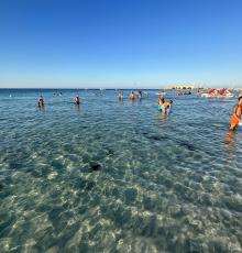 Lido Solemar