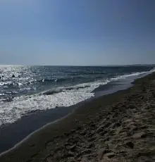 Ocean Surf Beach