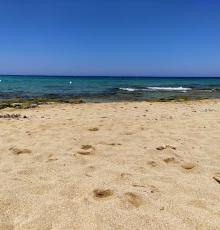 Lido Belli Freschi