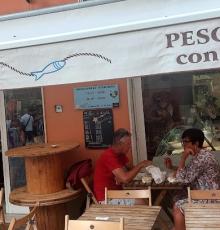 Fish Fryer Franca "Stelin"