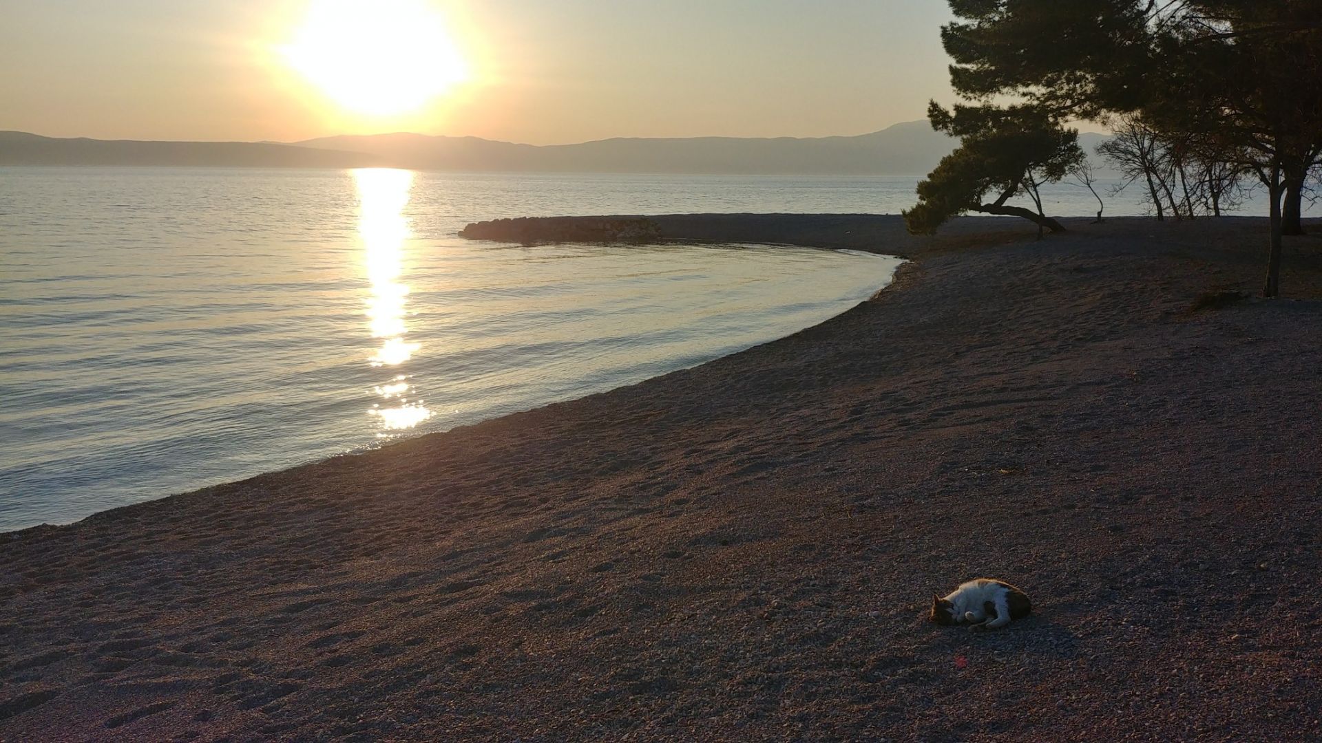 Foto von Adriatic II beach - beliebter Ort unter Entspannungskennern