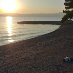 Foto von Adriatic II beach annehmlichkeitenbereich