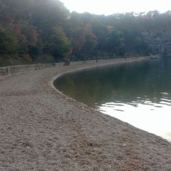 Foto von Pesja beach mit geräumige bucht