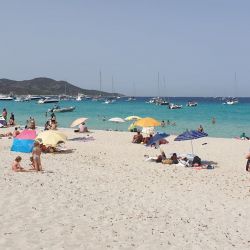 Foto von Saleccia Strand mit sehr sauber Sauberkeitsgrad