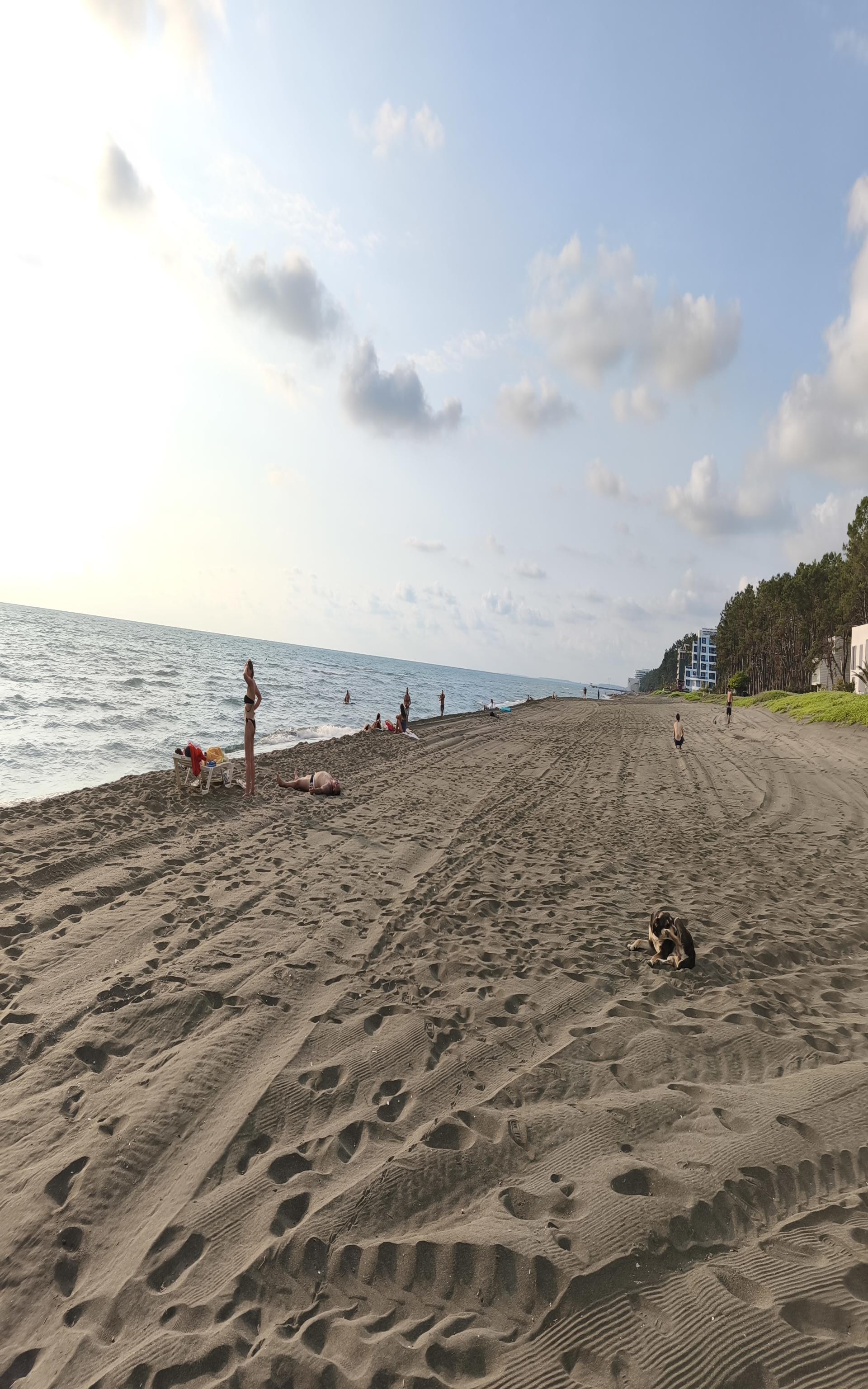 Foto von Shekvetili beach annehmlichkeitenbereich