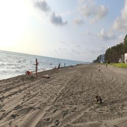 Foto von Shekvetili beach annehmlichkeitenbereich