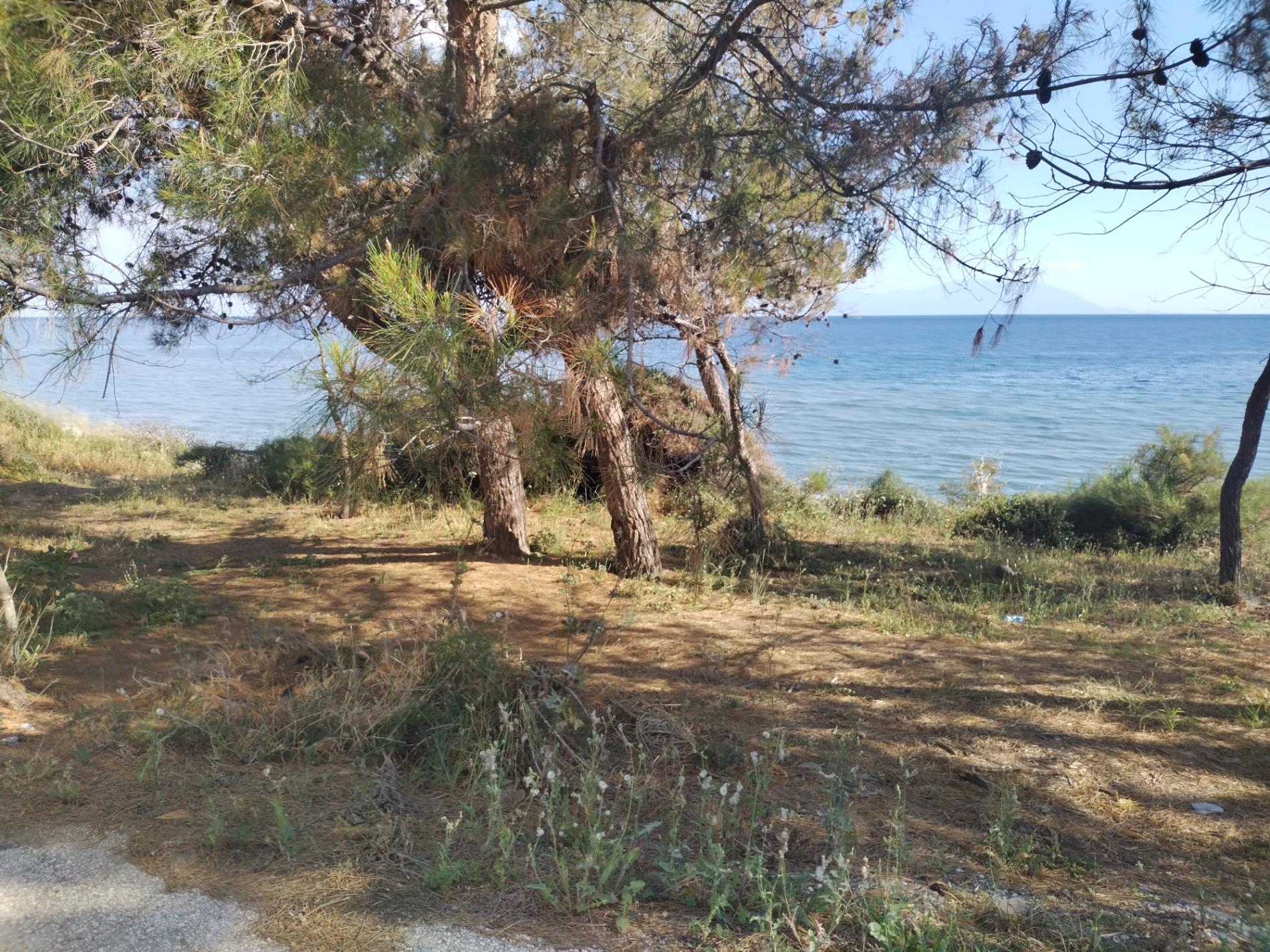 Foto von Mesimvria Zoni beach befindet sich in natürlicher umgebung