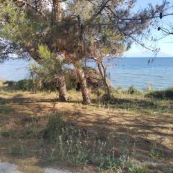 Foto von Mesimvria Zoni beach befindet sich in natürlicher umgebung