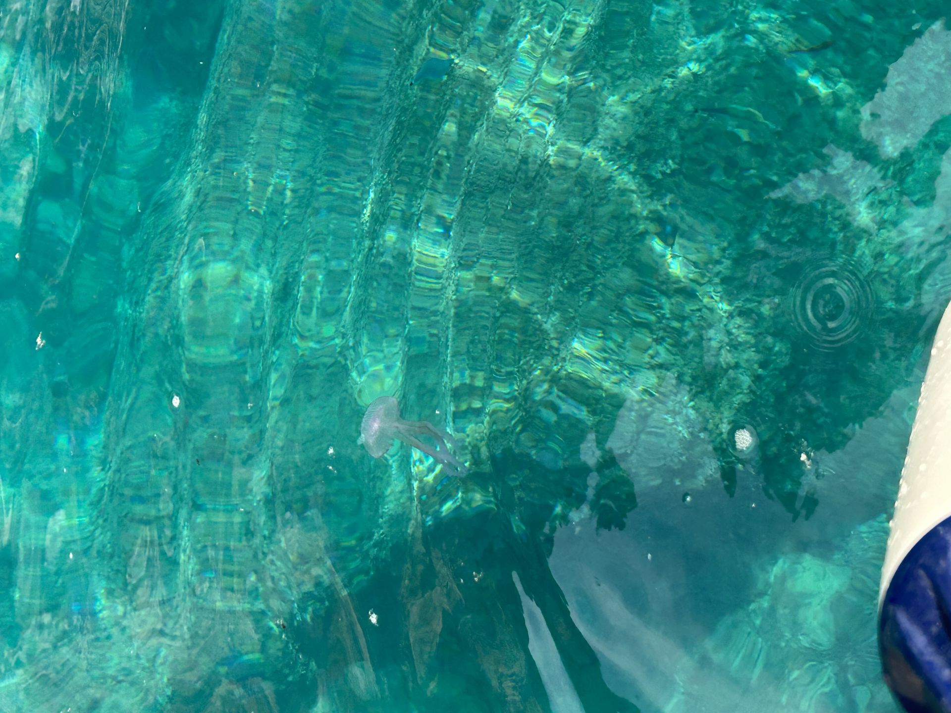 Foto von Spiaggia Cavallo Morto und seine wunderschöne Landschaft