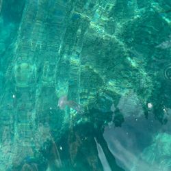 Foto von Spiaggia Cavallo Morto und seine wunderschöne Landschaft