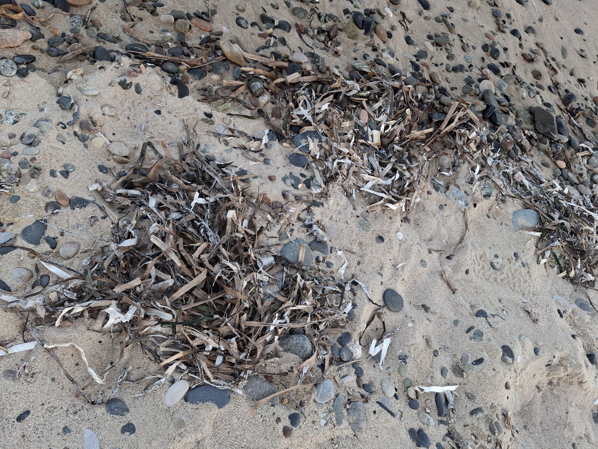 Foto von Platja de la Porquerola - beliebter Ort unter Entspannungskennern