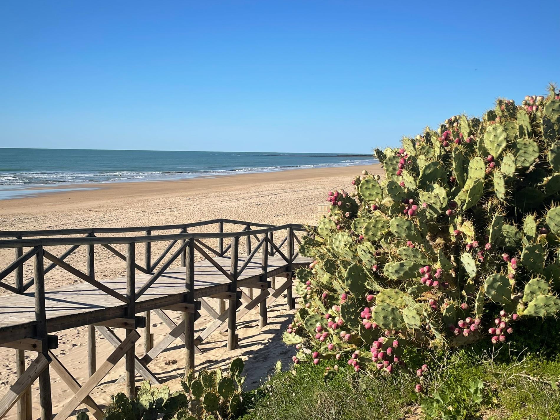 Foto von Playa de las Tres Piedras und die siedlung