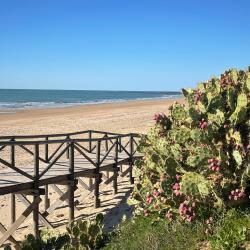 Foto von Playa de las Tres Piedras und die siedlung