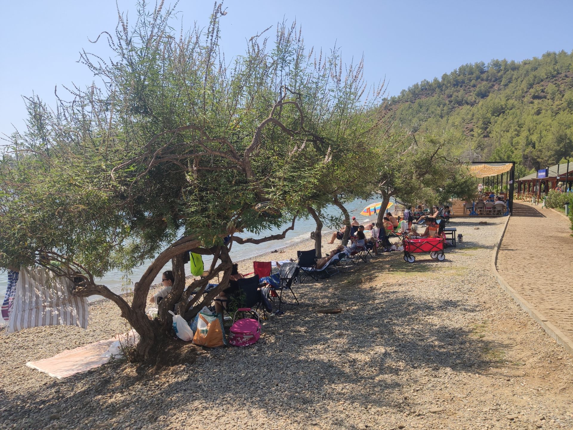 Photo of Kille Koyu