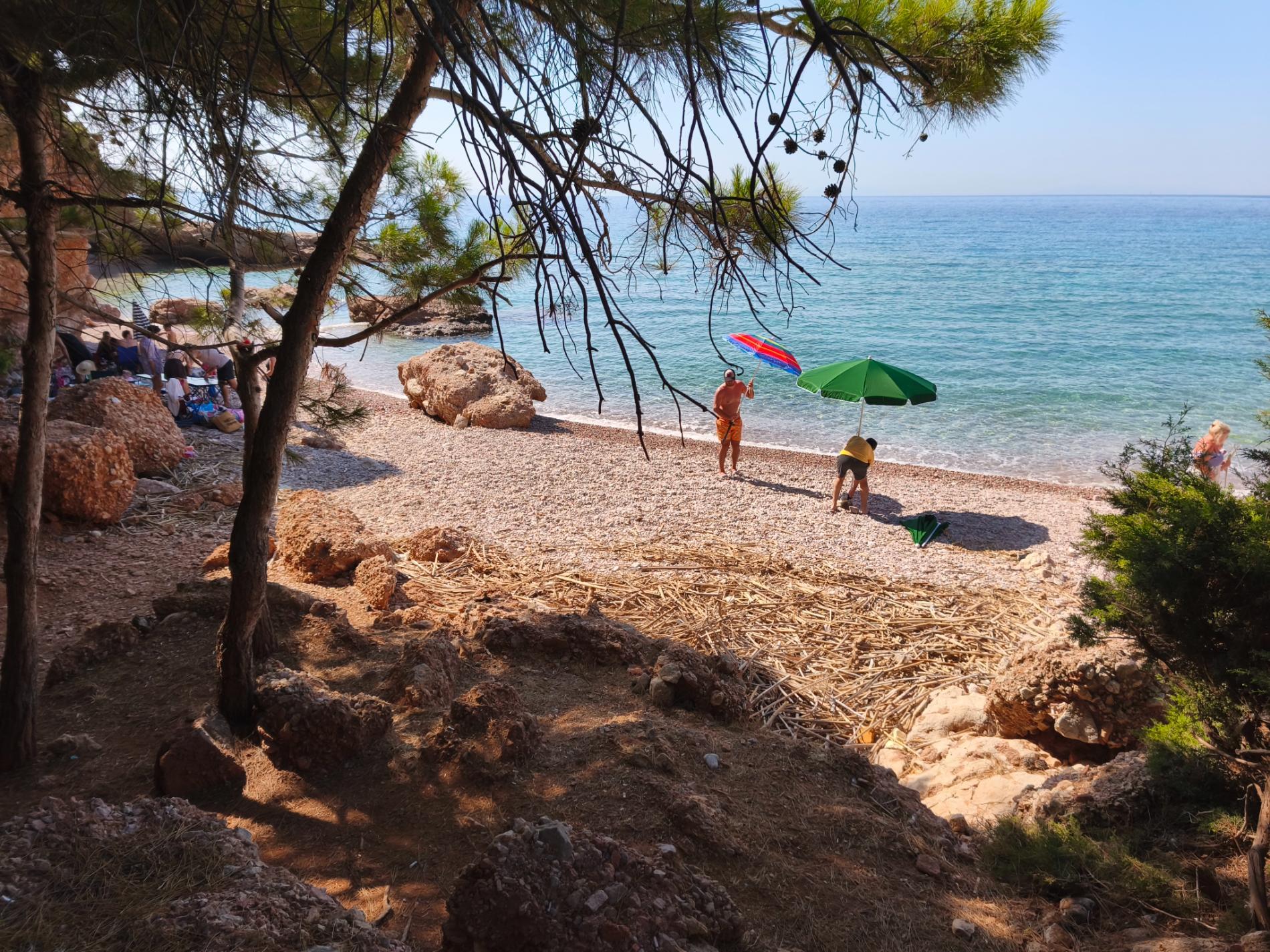 Photo of Aquarium beach