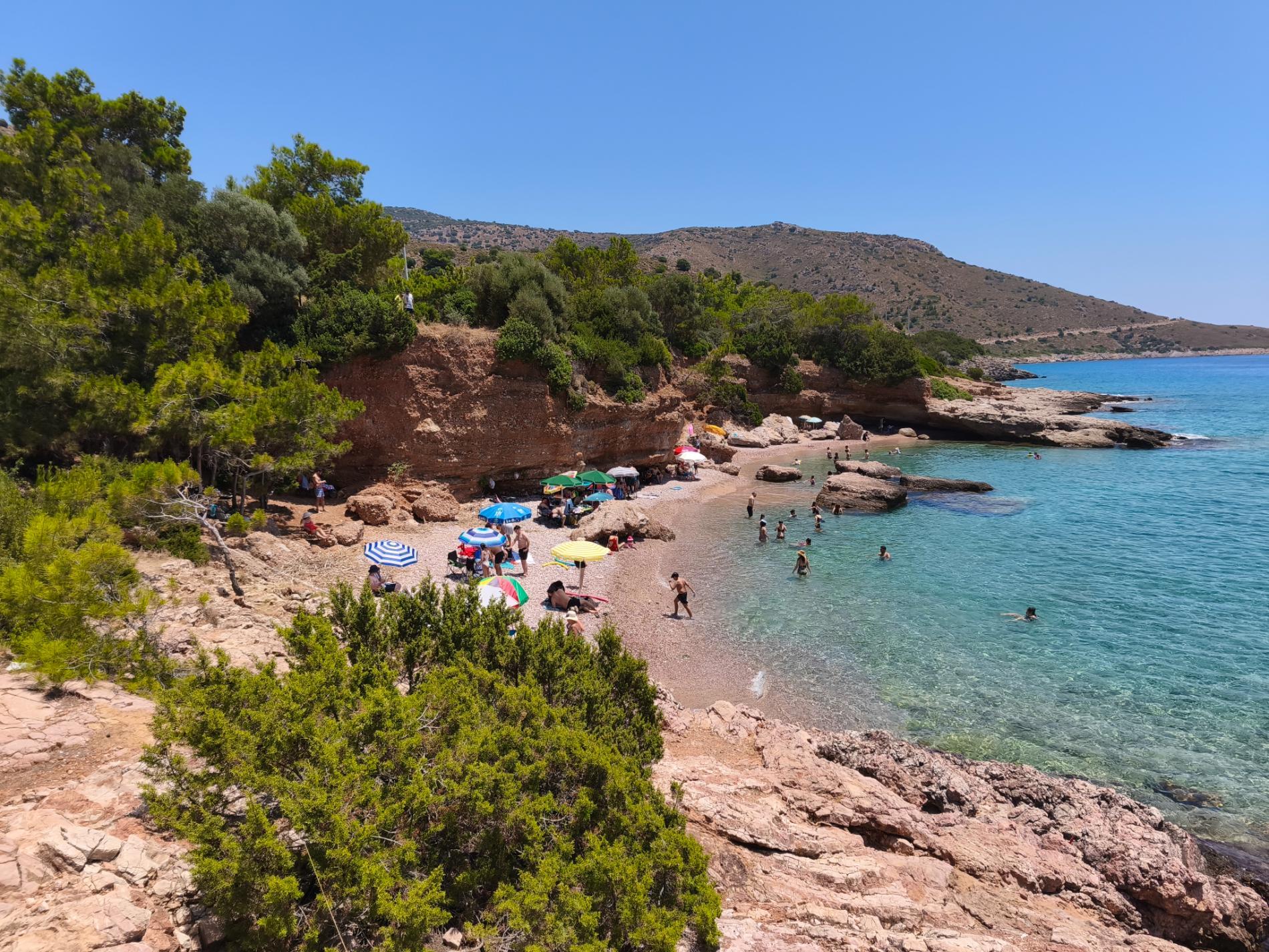 Foto von Aquarium beach wilde gegend