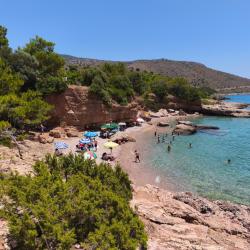 Foto von Aquarium beach wilde gegend