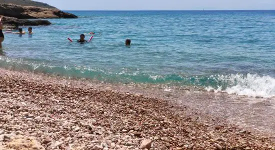 Aquarium beach