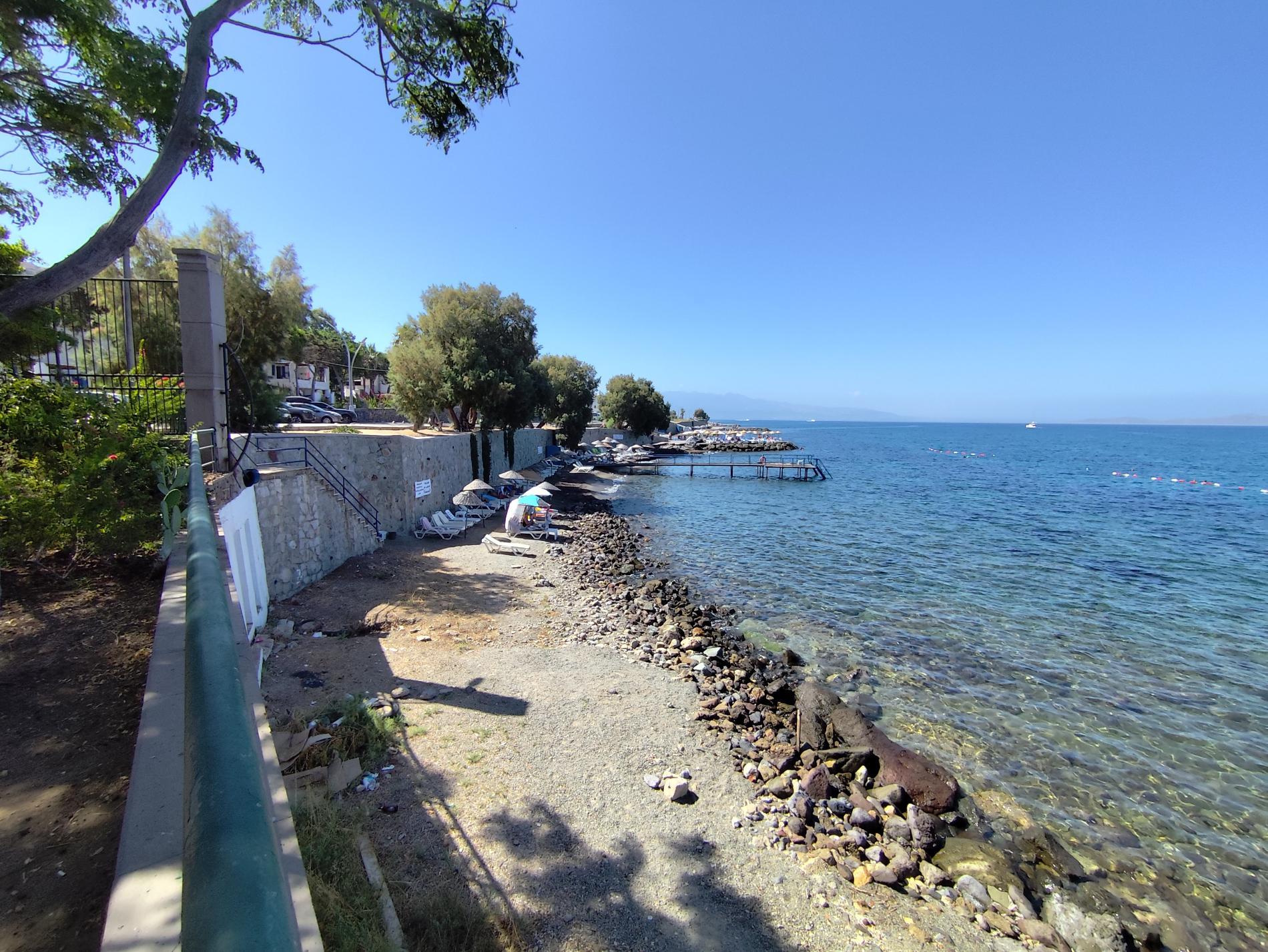Foto von Turgutreis beach II wilde gegend