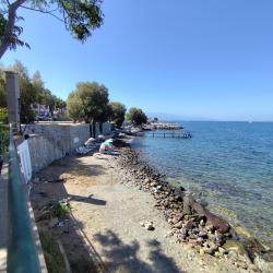 Foto von Turgutreis beach II wilde gegend