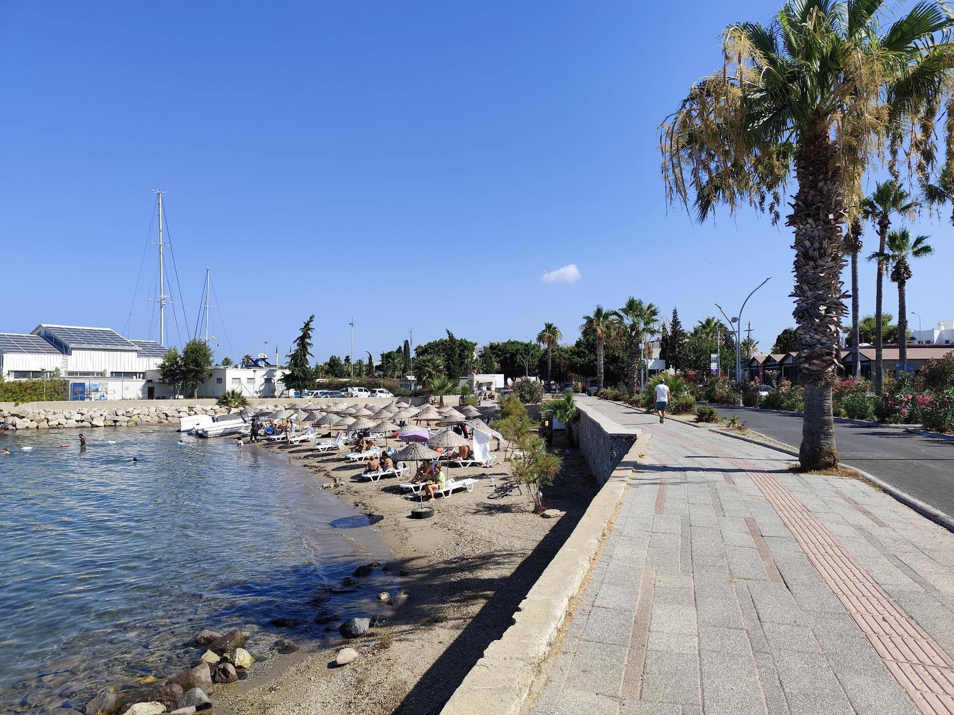 Foto von Turgutreis beach mit kleine bucht