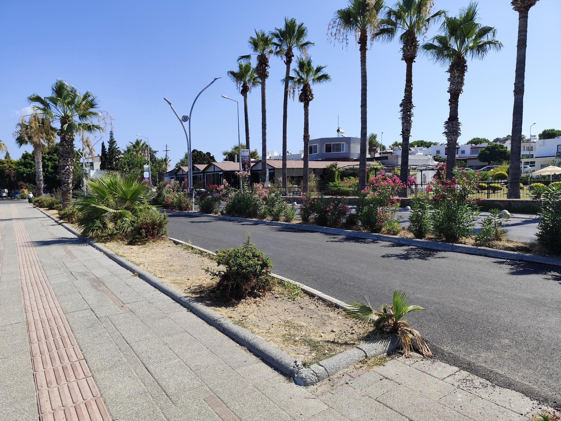 Foto von Turgutreis beach - beliebter Ort unter Entspannungskennern