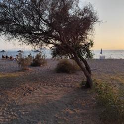 Foto von Ayvan beach III mit viele geräumige buchten