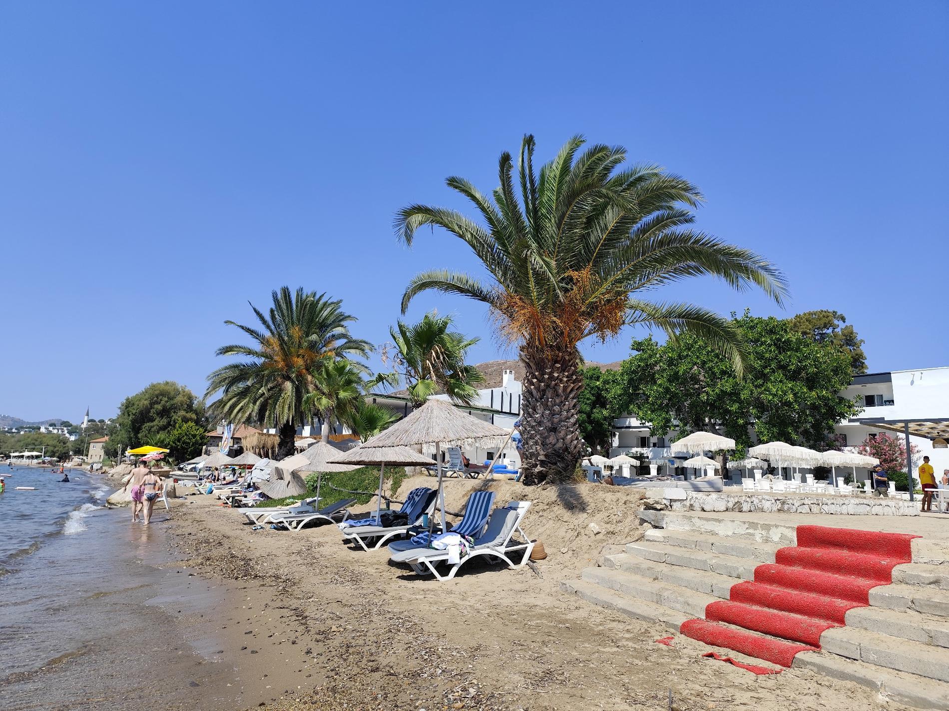 Photo of Kadikalesi beach