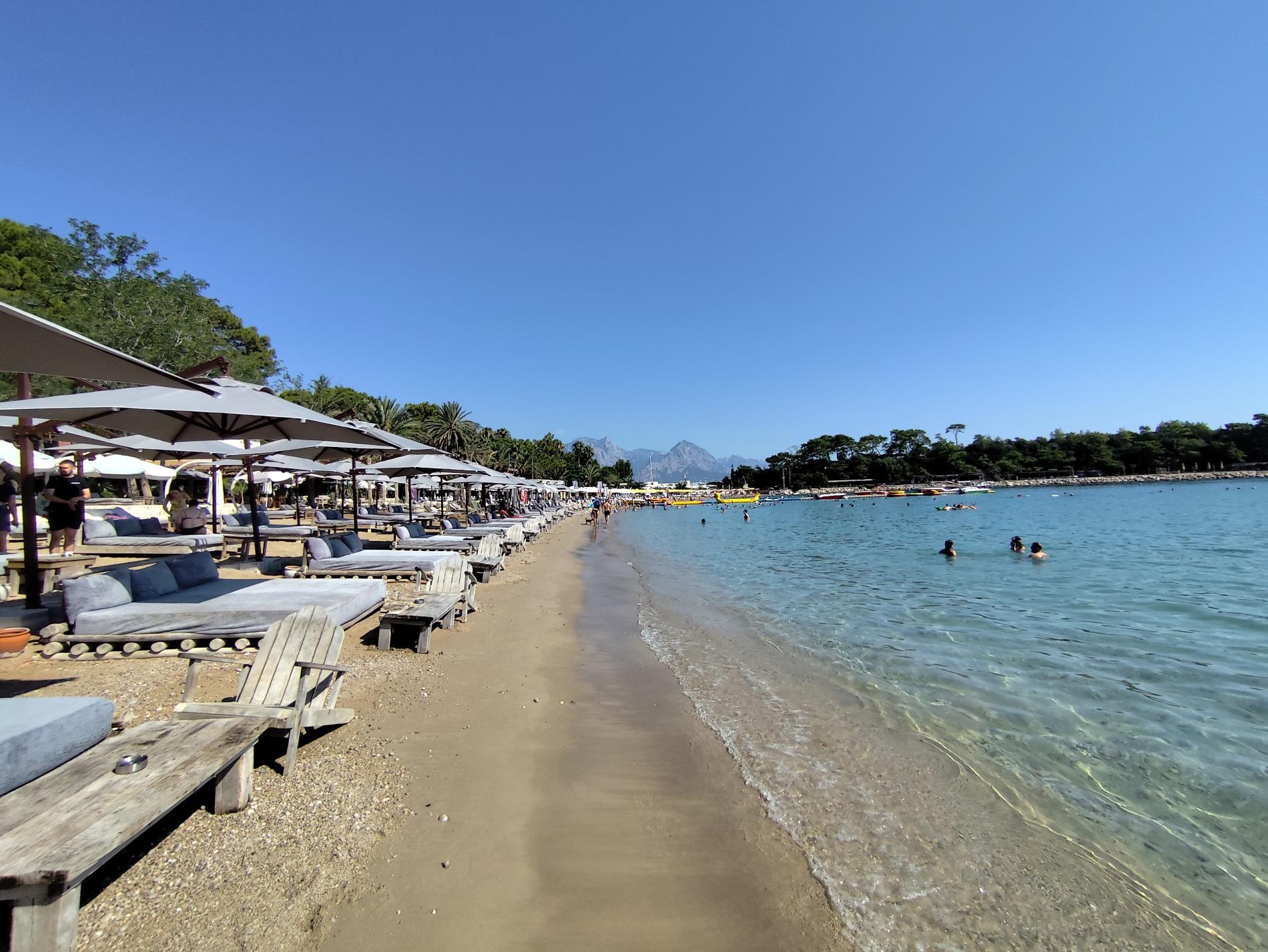 Photo of Moonlight beach